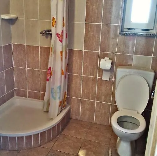 Apartment Anita Sibinj Krmpotski